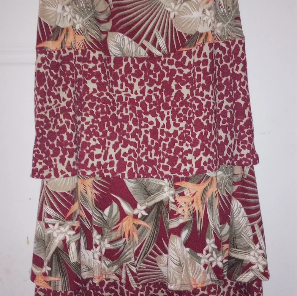 Long Lovely Layered Skirt and Top - Picture 3 of 6